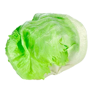 Iceberg