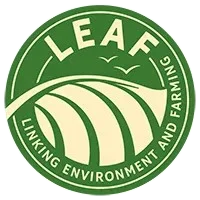 Leaf