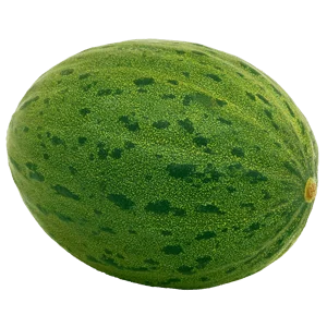 Piel de Sapo