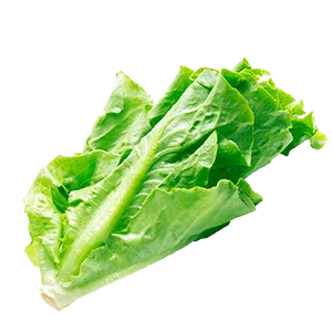 Romaine