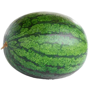 Seedless Striped