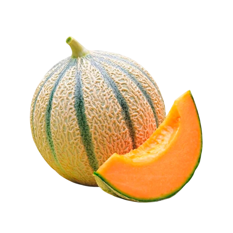 Cantaloupe