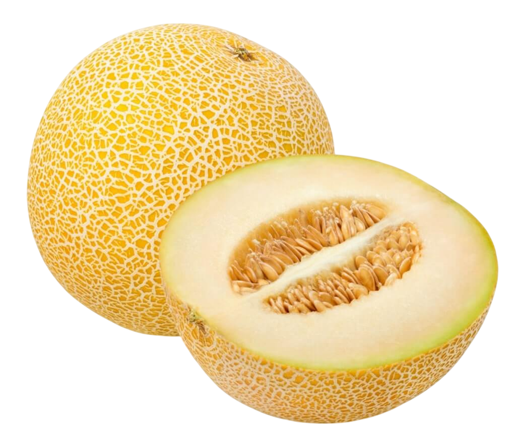 Galia