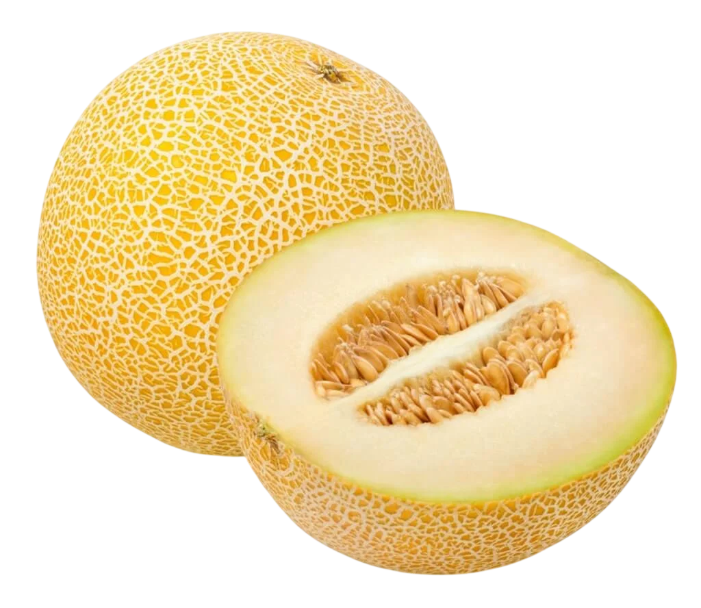Galia
